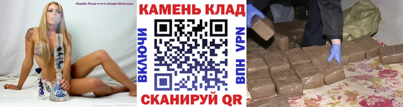 ГАШ VHQ  Сураж 