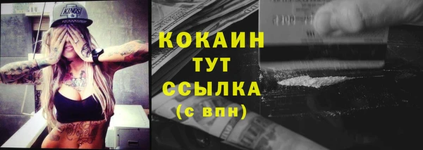 прущий лед Бежецк