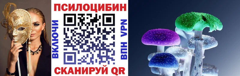 Псилоцибиновые грибы GOLDEN TEACHER  купить  цена  Сураж 
