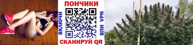 Бошки Шишки тримм  как найти закладки  Сураж 